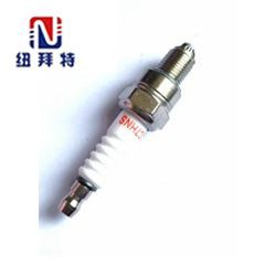 Motorcycle Ignition Plug